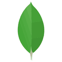 skill_icon_/skill-icons/mongo-icon.png