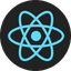 skill_icon_/skill-icons/react-icon.png